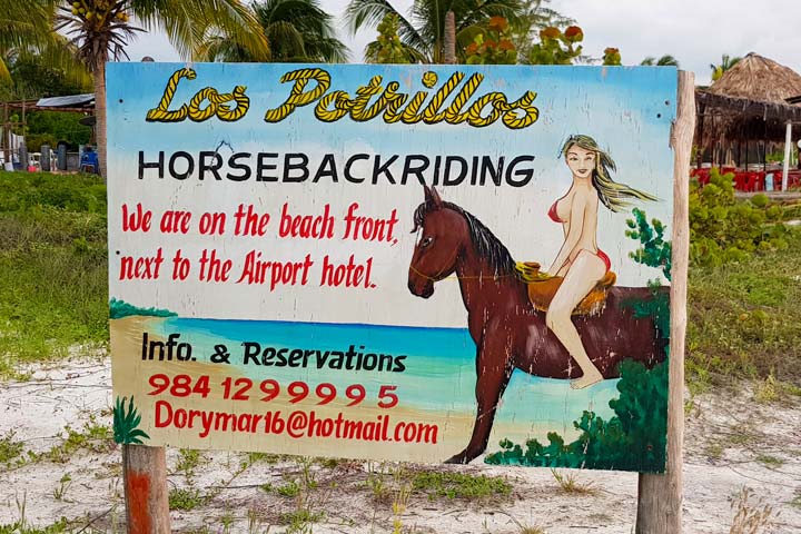 Tour horseback riding Isla Holbox