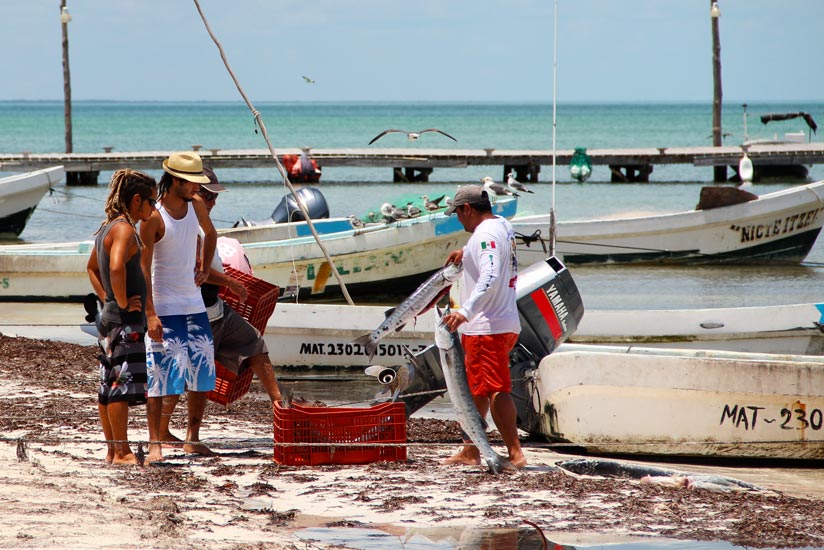 Fischer mit ihrem Fang auf Isla Holbox