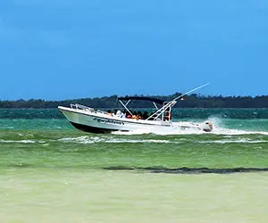 Touren auf Insel Holbox