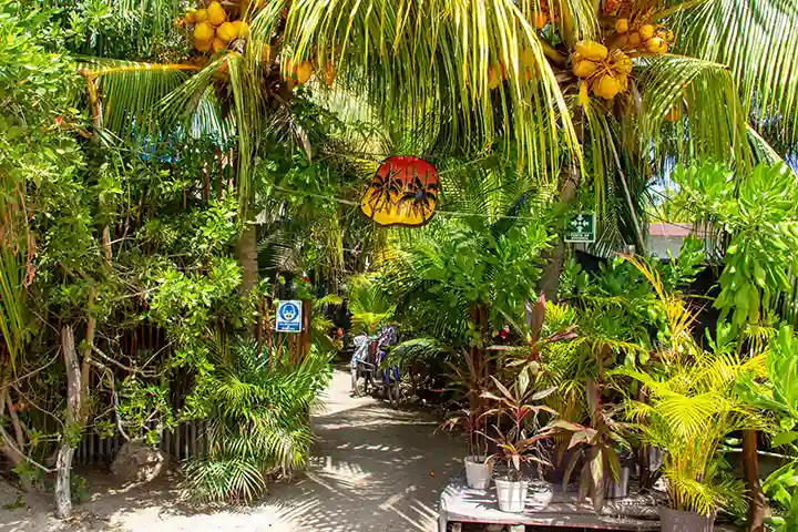 Kin Camping auf der Insel Holbox