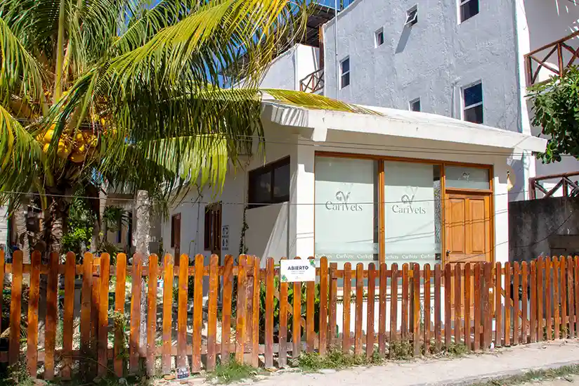 CariVets Clinica Veterinaria with vet on Holbox Island