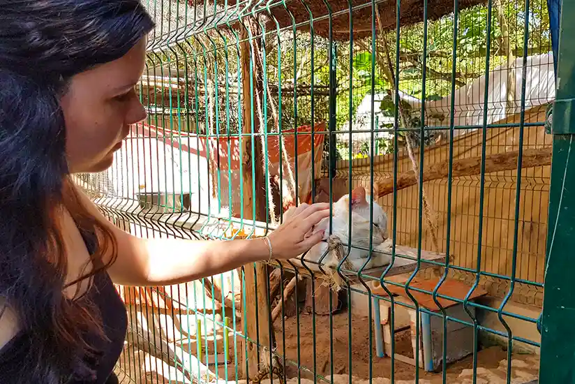 Petting cat at Refugio Animal on Holbox Island