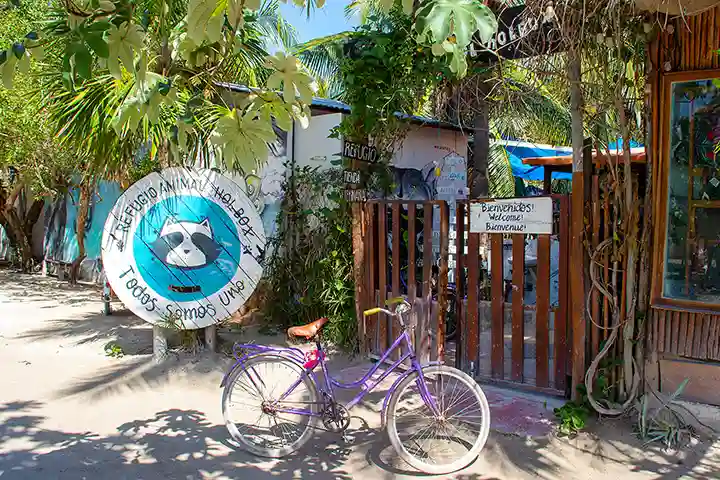 The Refugio Animal on Holbox Island in Mexico