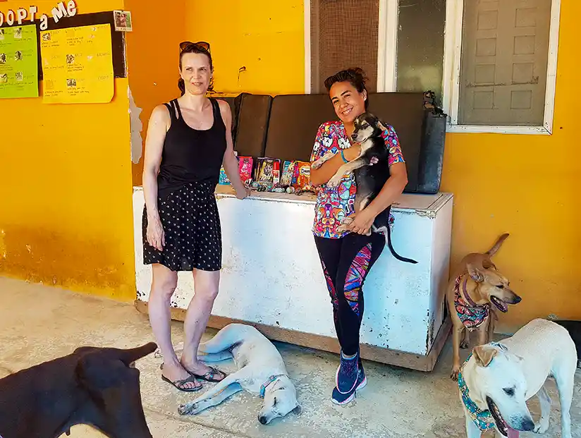 Donations at the animal shelter Refugio Animal on Holbox Island