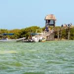 Anfahrt zur Isla Pajaros bei der 3 Insel Tour Holbox