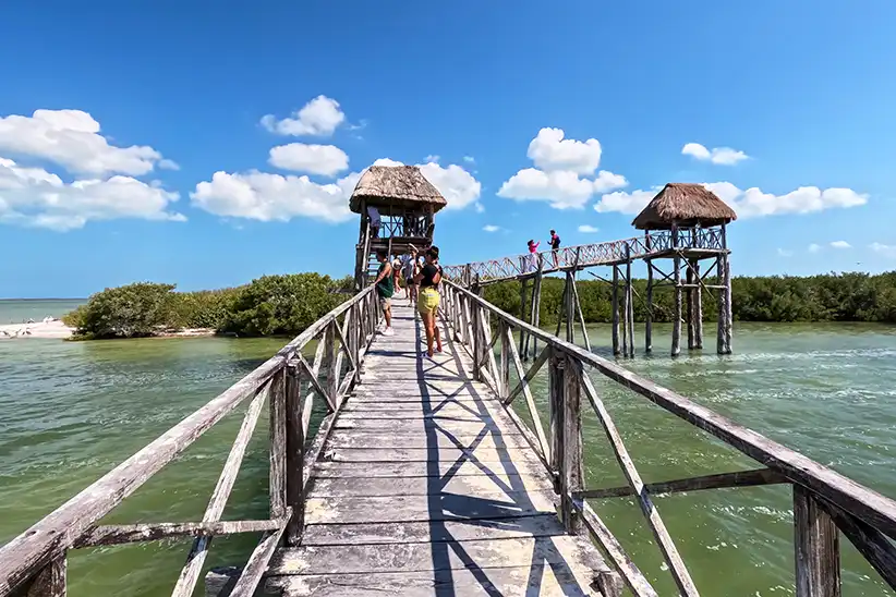 Isla Pajaros at the 3 Island Tour Holbox