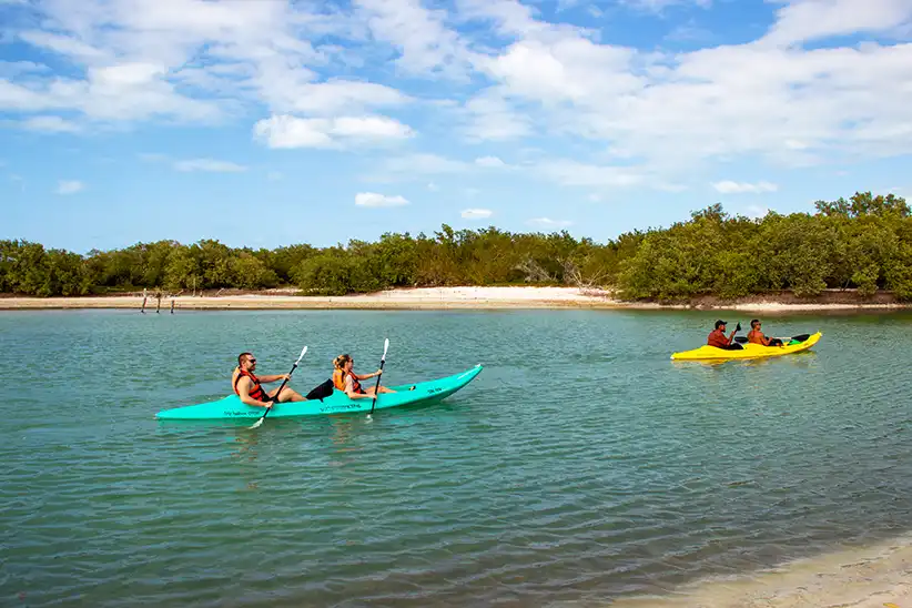 Mangroven Tour mit dem Kajak auf Insel Holbox