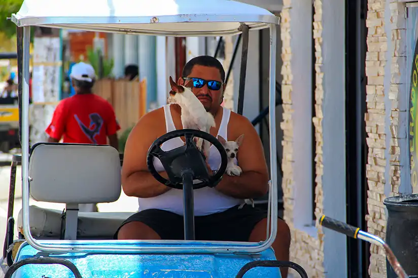 Ein Mann mit Hunden im Golf Car in Holbox