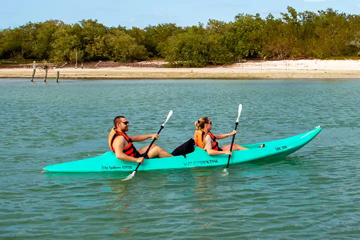 Mangrove Kayak Tour on Holbox Island