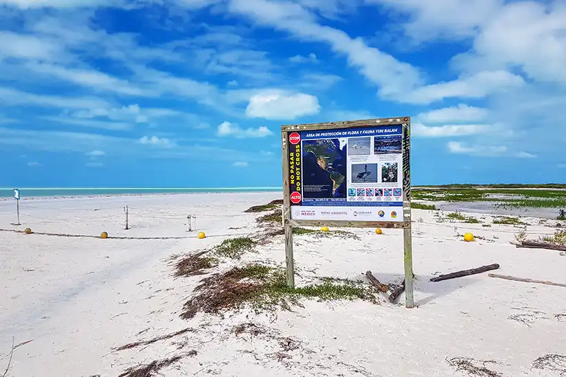 Stop sign on the sandbank at Punta Mosquito in Holbox