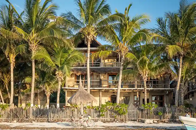Tall palm trees in front of the CASA CAT BA Beachfront Boutique Hotel in Holbox.
