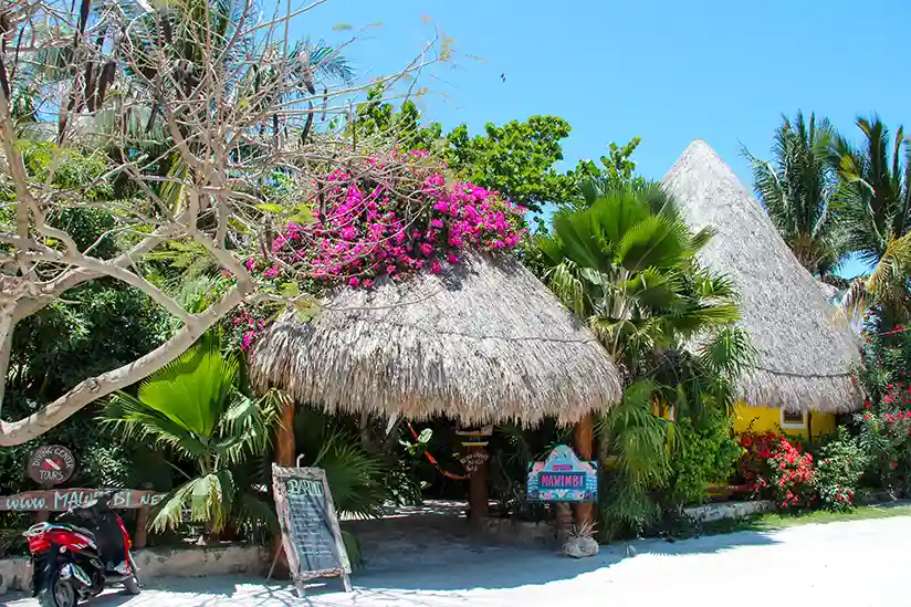 The entrance to the Holbox Boutique Hotel Mawimbi, covered in pink bougainvillea.