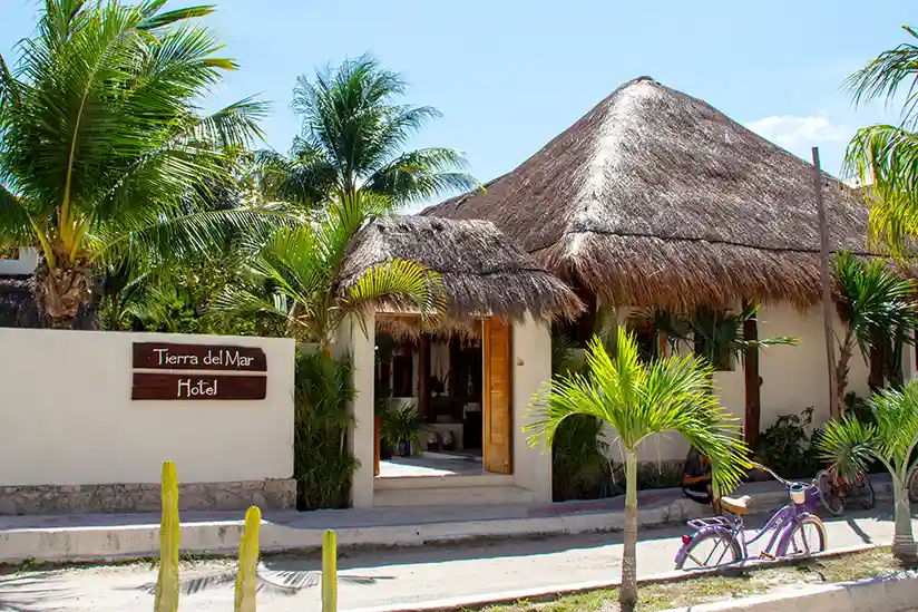 Entrance gate with thatched roof at the Tierra del Mar Hotel in Holbox with palm trees in the background.