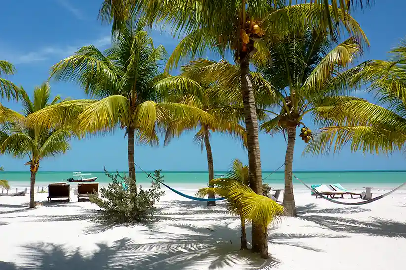 Palm trees and hammocks on the beach, perfect for a relaxing stay at the best Holbox hotels.