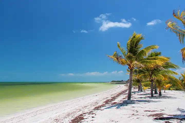 Quiet beach in Punta Cocos on Isla Holbox with palm trees and shallow water.