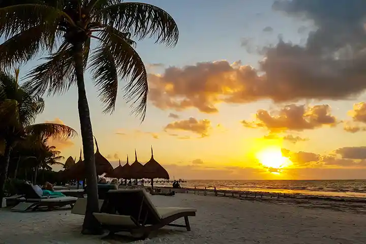A stunning sunset on Holbox beach with palm trees, perfectly matching our travel reports.