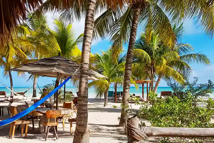 Beachfront hotel garden on Isla Holbox with palm trees, hammocks, and ocean view.