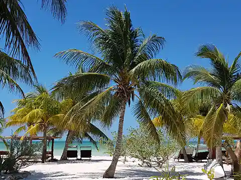 Palmen und Liegestühle am Sandstrand der Insel Holbox in Mexiko bei traumhaftem Wetter.