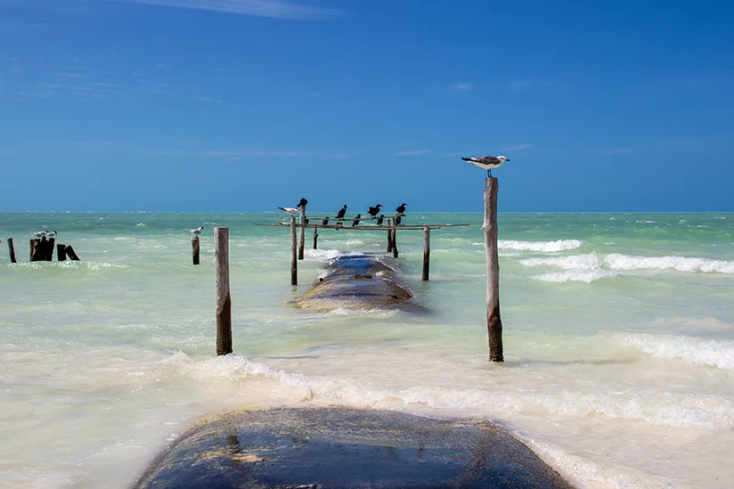 Betonsäcke im Wasser zum Schutz vor Erosion auf Isla Holbox.