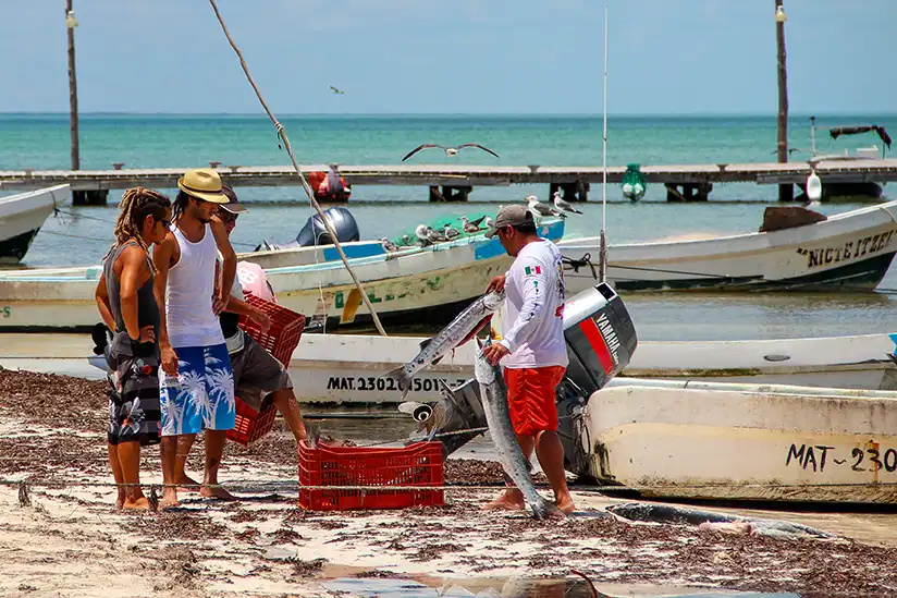 Vier Fischer auf Isla Holbox am Strand neben Booten mit frischen Fischen erzählen ihre Geschichte.